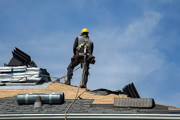Professional Roof Repair technician working in Morocco, IN